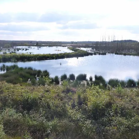 Kleymann Сasa de vacaciones