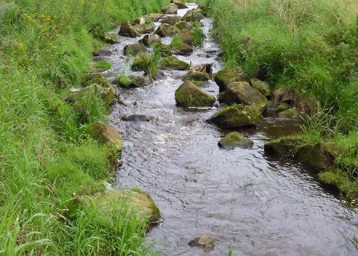 Kleymann Зёгель