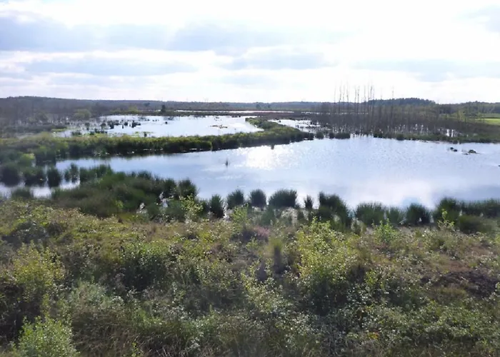 Kleymann Дом отдыха